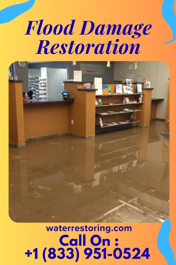 Flood Damage Restoration in Green Level, NC