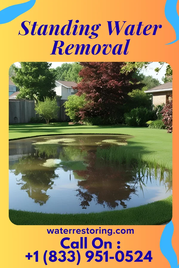 Standing Water Removal in Green Level, NC